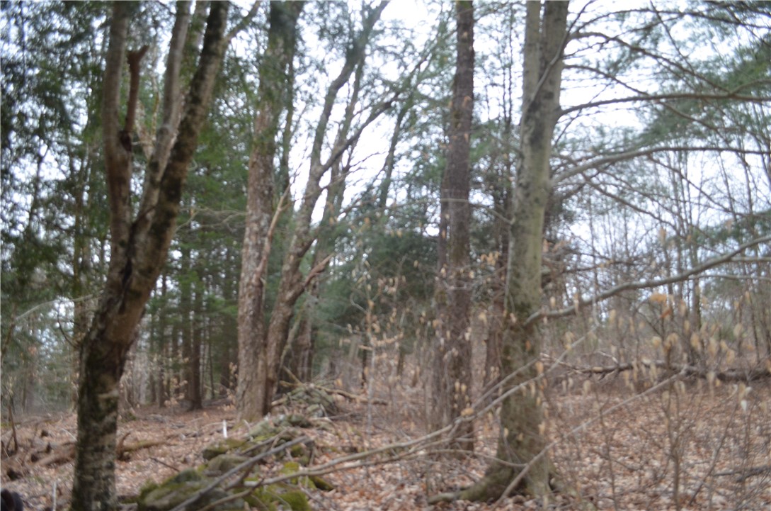 371 Hoben Road, Mc Donough, New York image 32