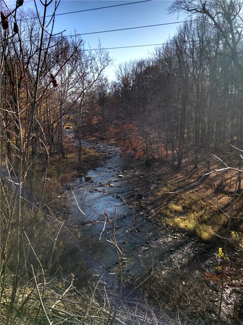 Vacant Land For Sale - 6240 Pheasants Crossing<br/> Farmington, NY 14425