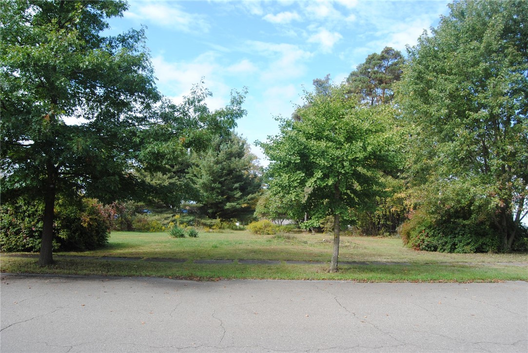 Park Ave view into the level lot