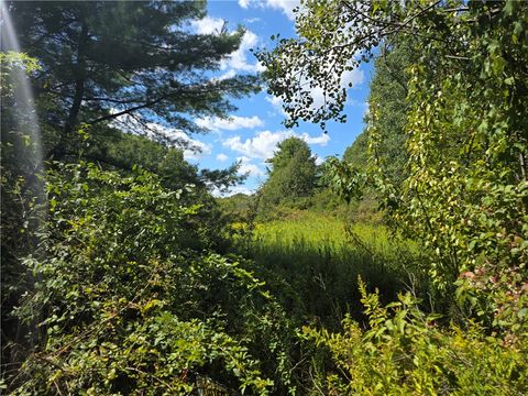 Frog Hollow Road Painted Post NY 14870