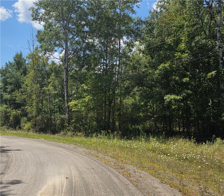 Frog Hollow Road