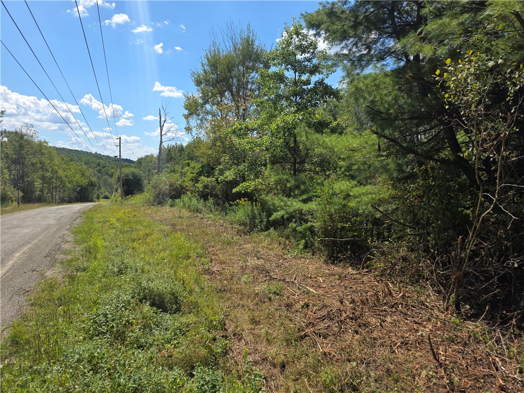 Frog Hollow Road