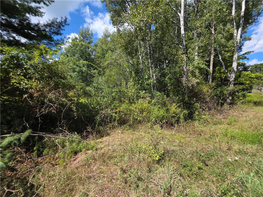 Frog Hollow Road