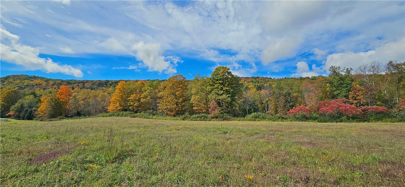 County Route 41