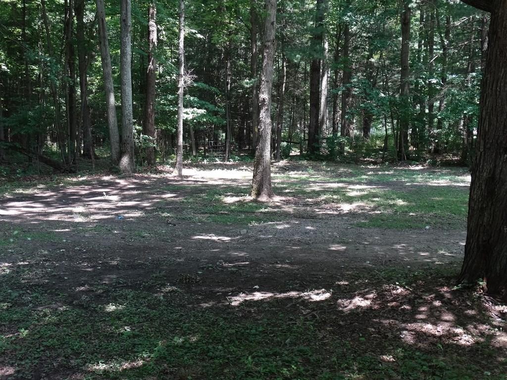 2657 Reservoir Hill Road, Addison, New York image 12