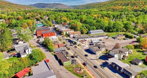 142 S Main Street Naples NY 14512