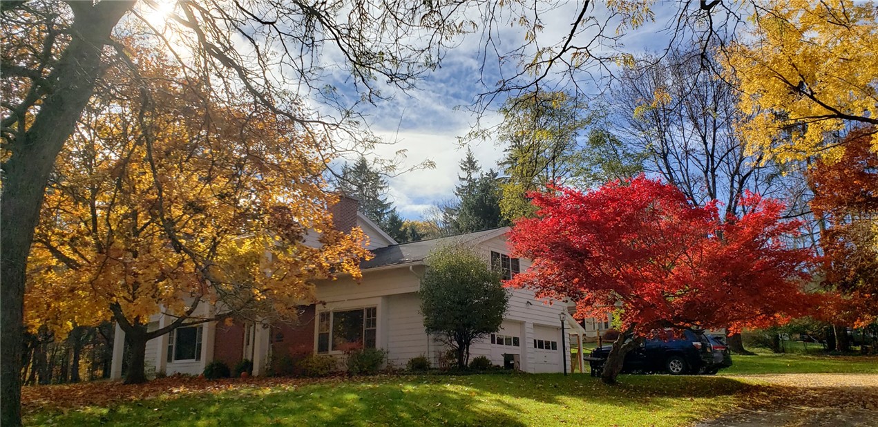 52 High Street, Alfred, New York image 45