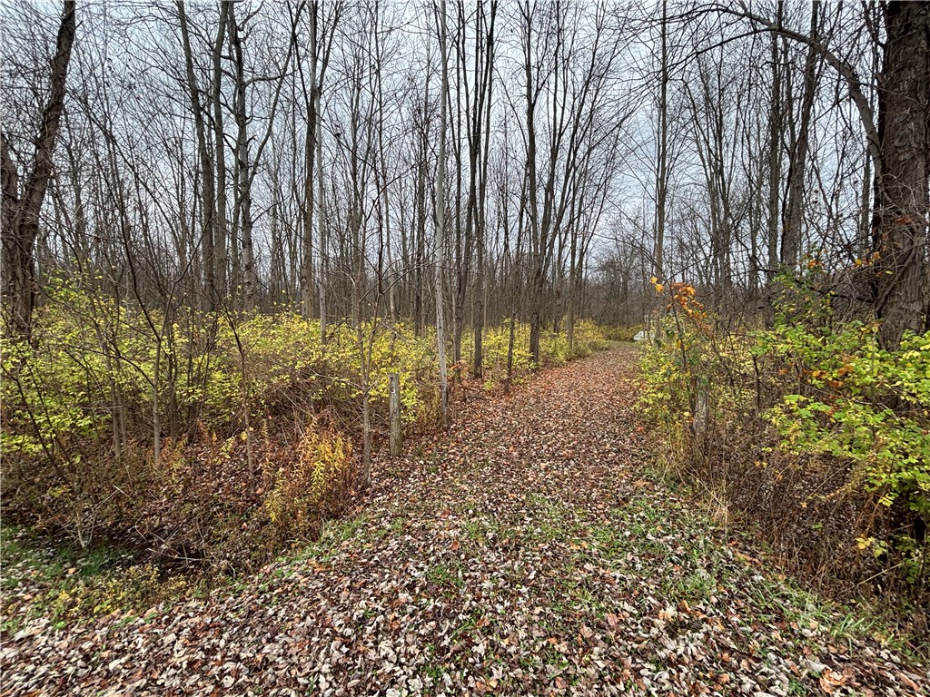 Huntley Road, Marion, New York image 7