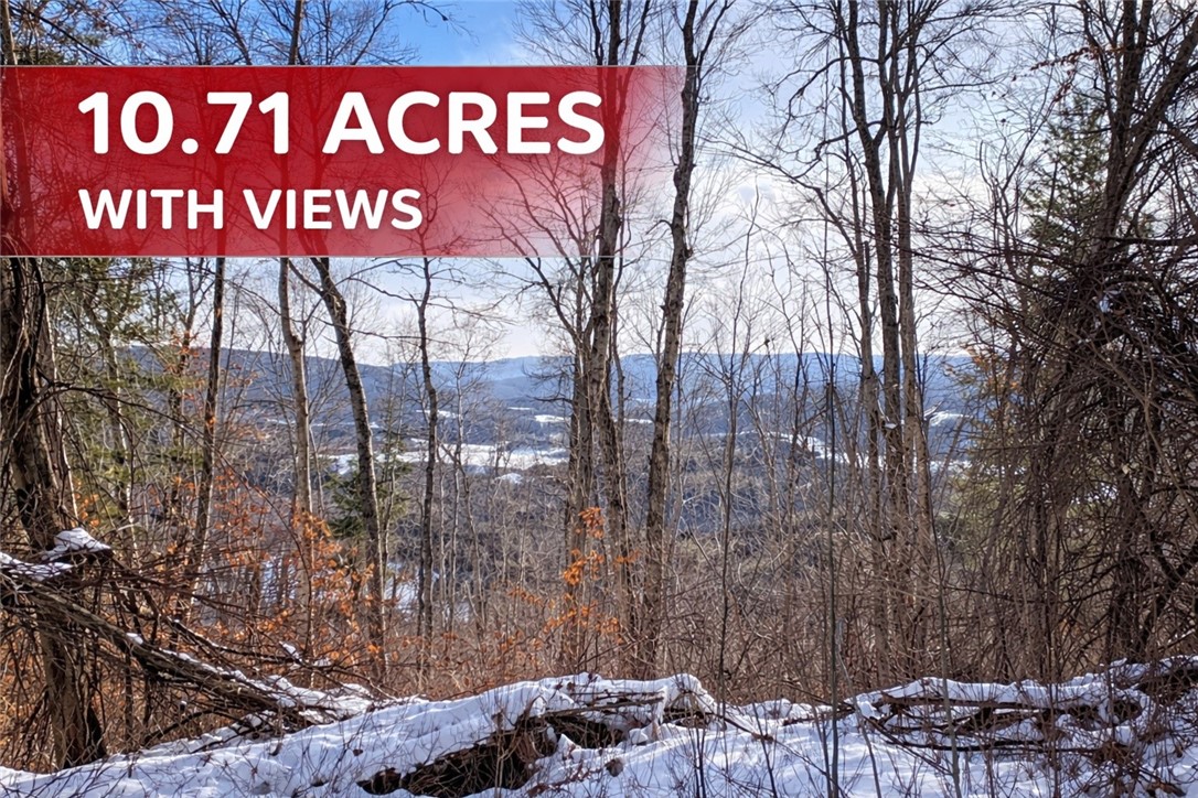 Photo 1 of 15 — 15 Silver Mine Road, Blenheim, NY 12131