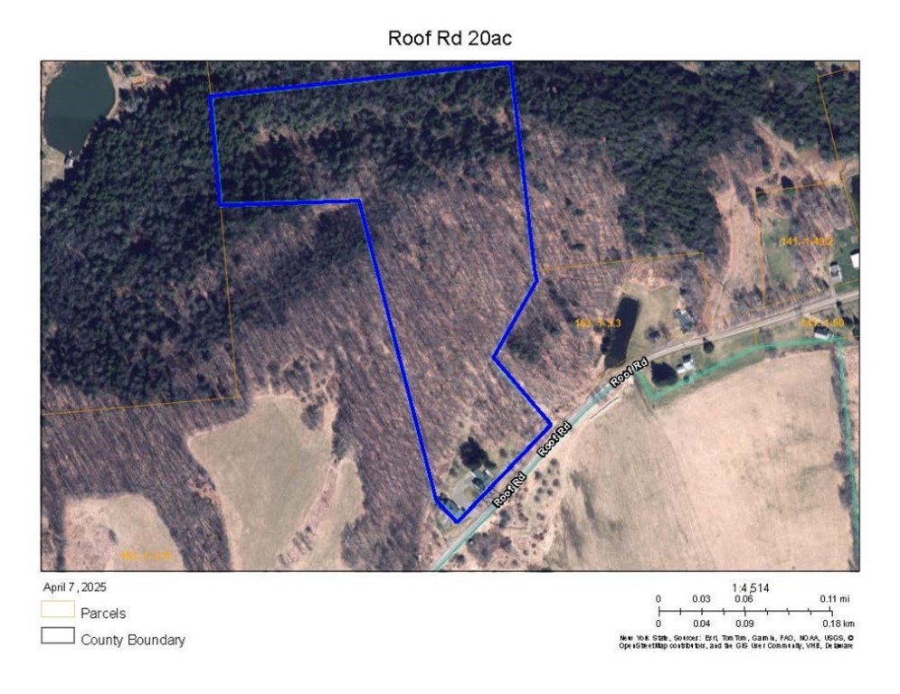 1421 Roof Road, Sidney, New York image 42
