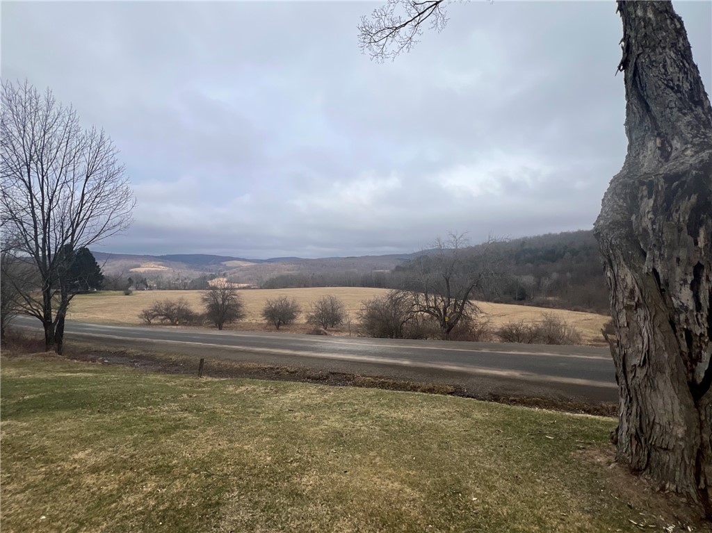 1421 Roof Road, Sidney, New York image 13