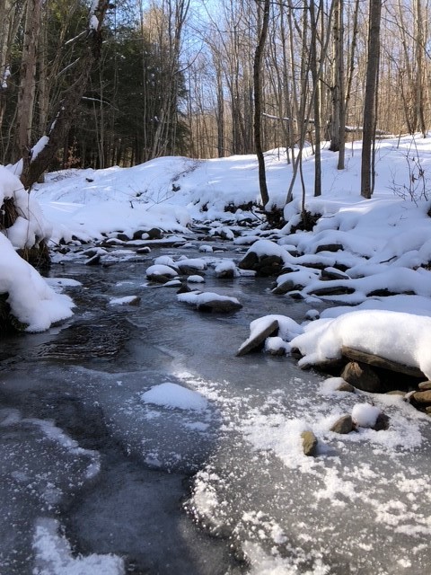 1421 Roof Road, Sidney, New York image 31