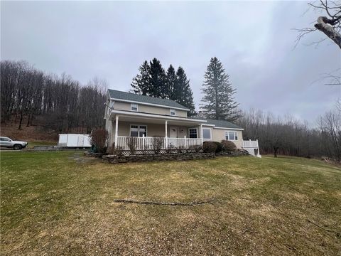 Homes For Sale - 1421 Roof Road<br/> Sidney, NY 13839