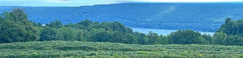 Photo for 5720 State Route 21 Highway