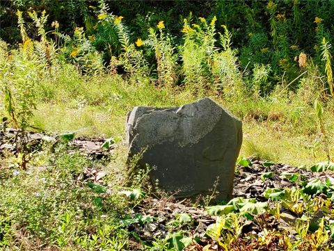 Vacant Land For Sale - 2592 County Highway 8<br/> Otego, NY 13825