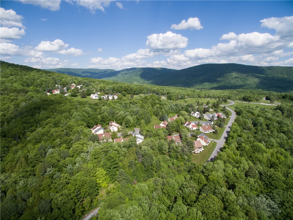 300 Pines Drive #44-6, Roxbury, New York image 42