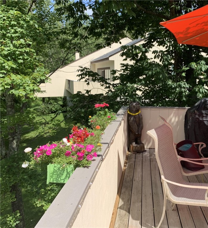 300 Pines Drive #44-6, Roxbury, New York image 35