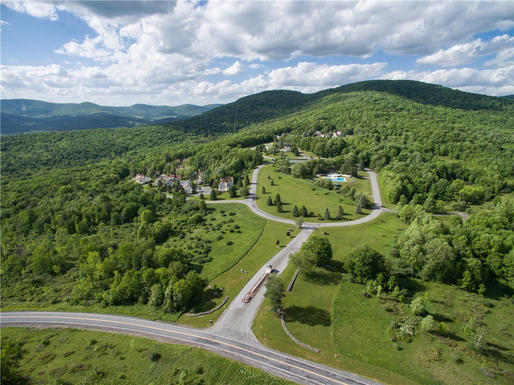 300 Pines Drive #44-6, Roxbury, New York image 39