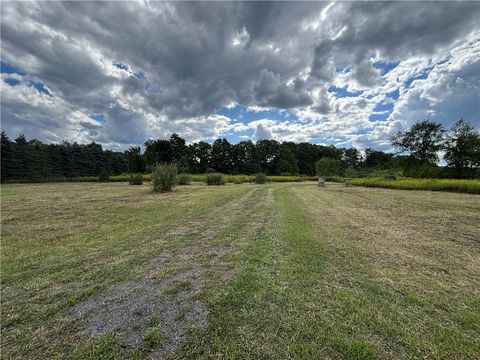 Vacant Land For Sale - 1770 County Route 50<br/> Dansville, NY 14437