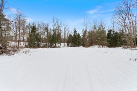 Photo for 13398 Chapman Corners Road