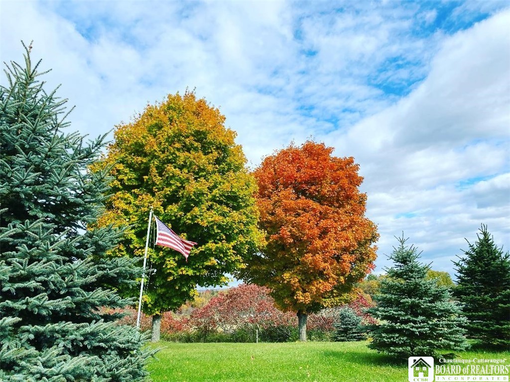 5846 Route 380, Stockton, New York image 3