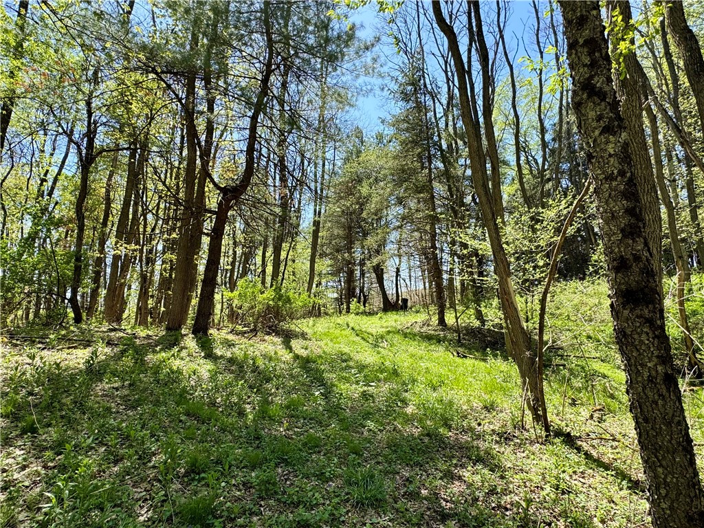 2395 State Highway 205, Laurens, New York image 34