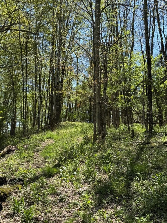 2395 State Highway 205, Laurens, New York image 36