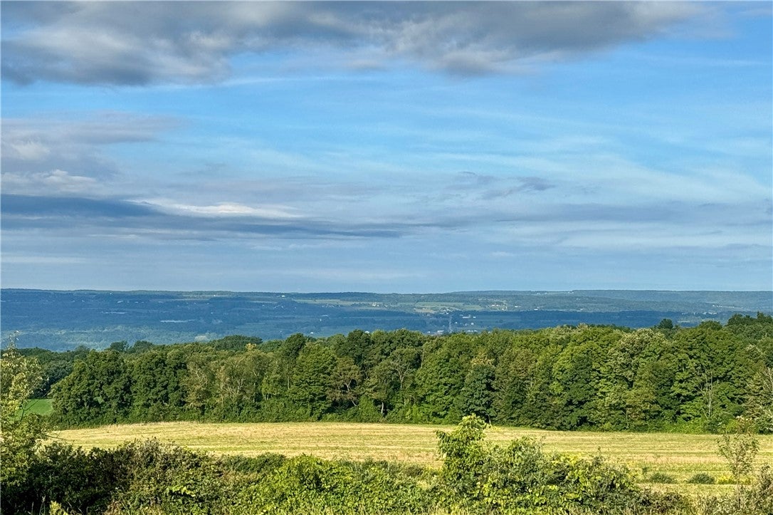 Lot 1 0 County Road 4