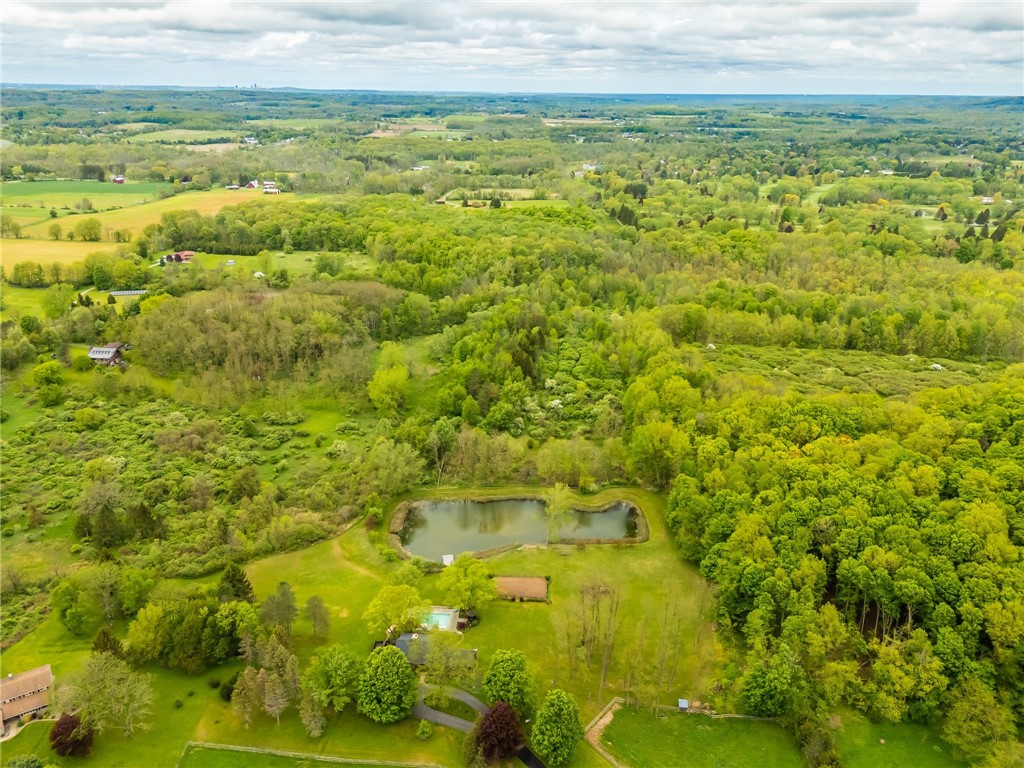 851 Cheese Factory Road, Mendon, New York image 49