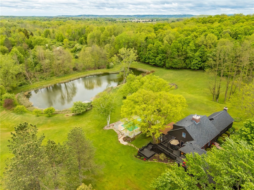 851 Cheese Factory Road, Mendon, New York image 46