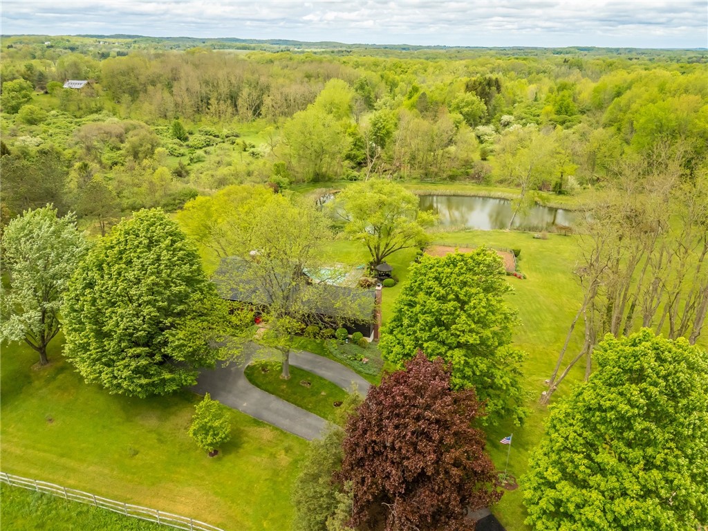 851 Cheese Factory Road, Mendon, New York image 45