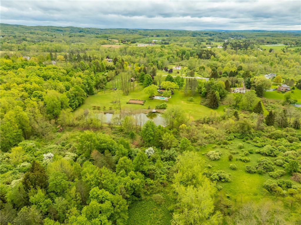 851 Cheese Factory Road, Mendon, New York image 48