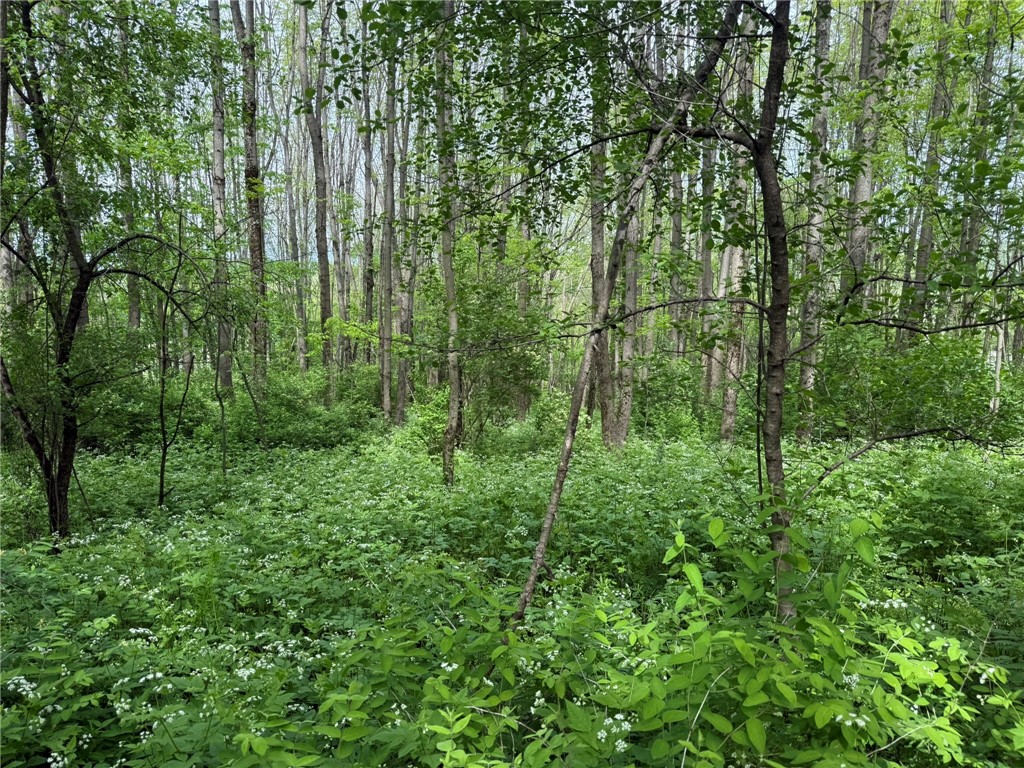 Mapledale Road, Bridgewater, New York image 5
