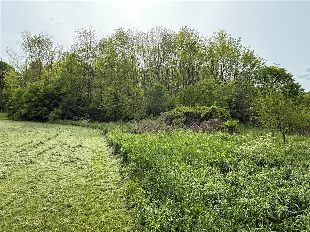 Mapledale Road, Bridgewater, New York image 3
