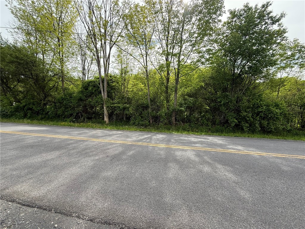 Mapledale Road, Bridgewater, New York image 10