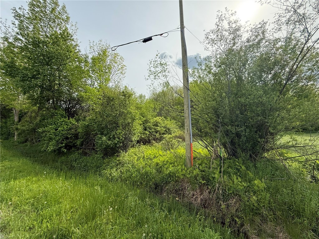 Mapledale Road, Bridgewater, New York image 9