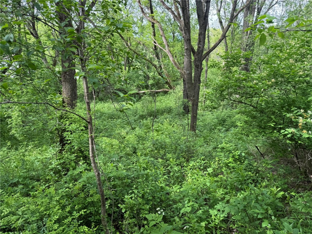 Mapledale Road, Bridgewater, New York image 7