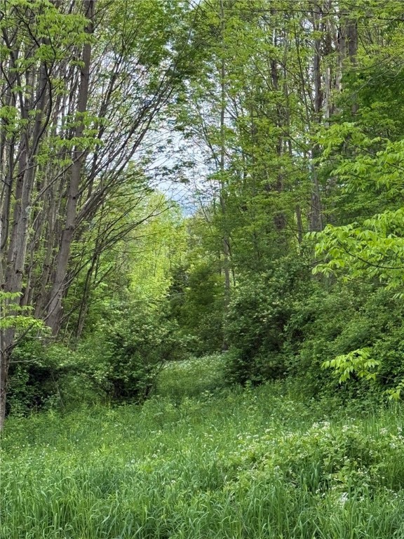 Mapledale Road, Bridgewater, New York image 8