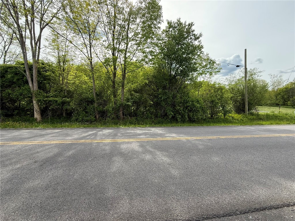 Mapledale Road, Bridgewater, New York image 2