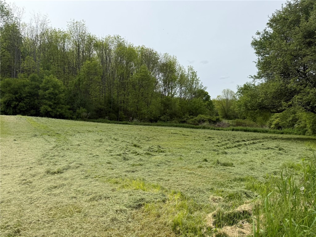 Mapledale Road, Bridgewater, New York image 1