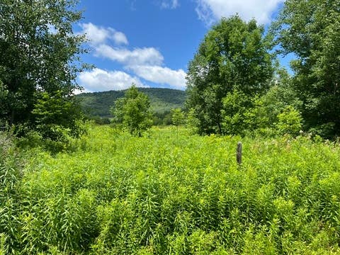 Vacant Land For Sale - Narrow Notch Road<br/> Stamford, NY 12167