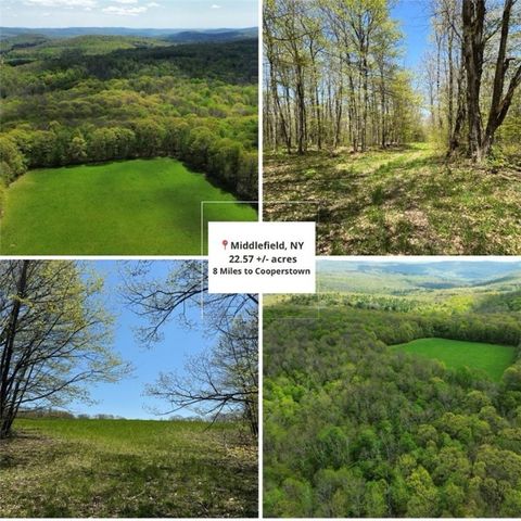 Photo of Barnum Road, Cooperstown, NY 13320 (MLS # R1607462)