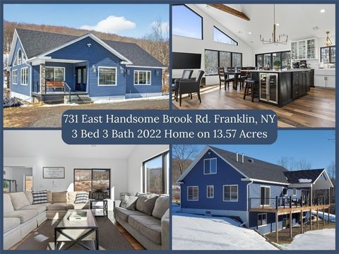 Homes For Sale - 731 East Handsome Brook Road<br/> Delaware County, Franklin, NY 13775