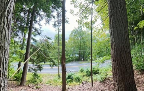 Tiny photo for Springfield, NY 13326 (MLS # R1704117)