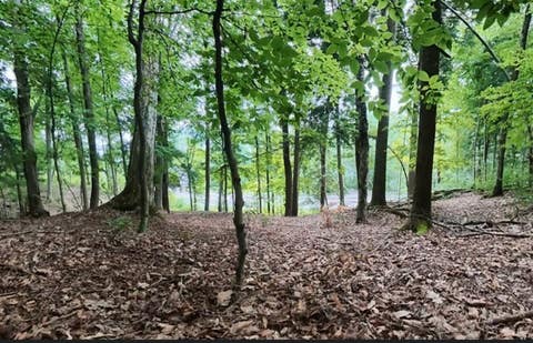 Tiny photo for Springfield, NY 13326 (MLS # R1704117)