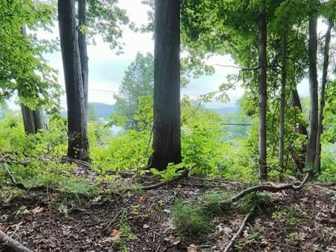 Tiny photo for Springfield, NY 13326 (MLS # R1704117)