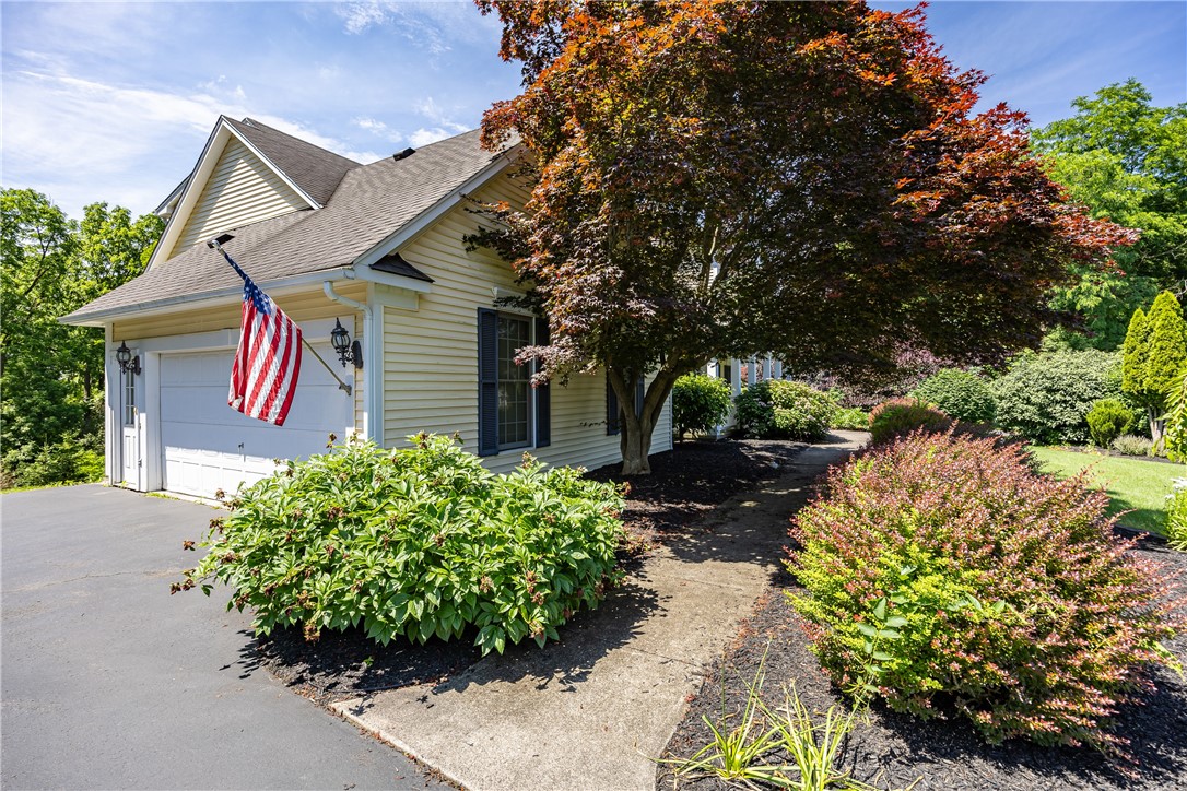 117 Neuchatel Lane