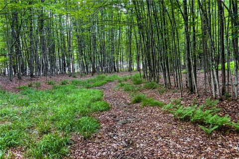 Tiny photo for 61 Fusco Drive, Harpersfield, NY 12093 (MLS # R1692261)