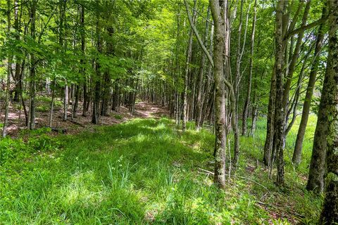 Tiny photo for 61 Fusco Drive, Harpersfield, NY 12093 (MLS # R1692261)