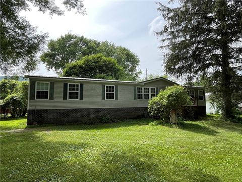 Homes For Sale - 3975 Curtis Coopers Road<br/> Campbell, NY 14821